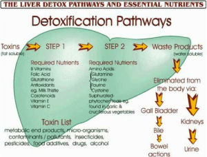 Detox Pathway
