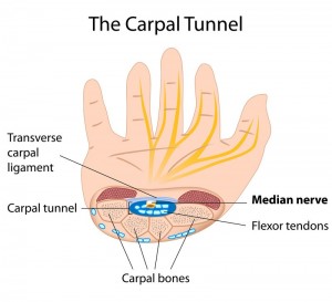 carpal-tunnel-syndrome-anatomy